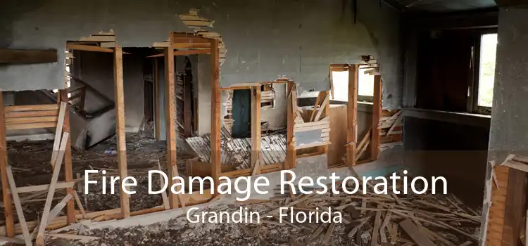 Fire Damage Restoration Grandin - Florida