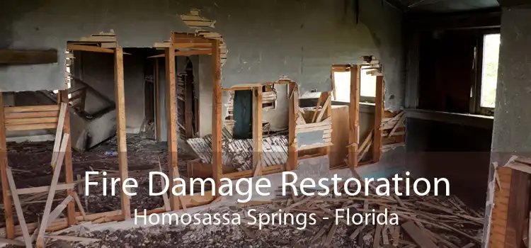 Fire Damage Restoration Homosassa Springs - Florida