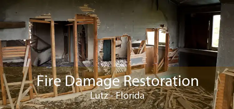 Fire Damage Restoration Lutz - Florida