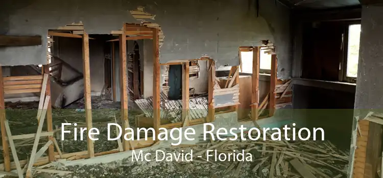 Fire Damage Restoration Mc David - Florida