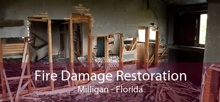 Fire Damage Restoration Milligan - Florida