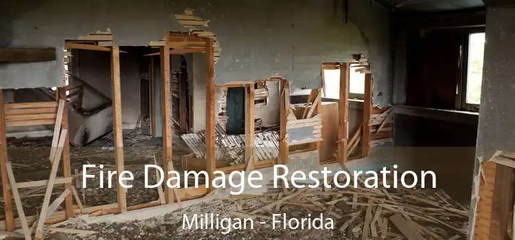 Fire Damage Restoration Milligan - Florida