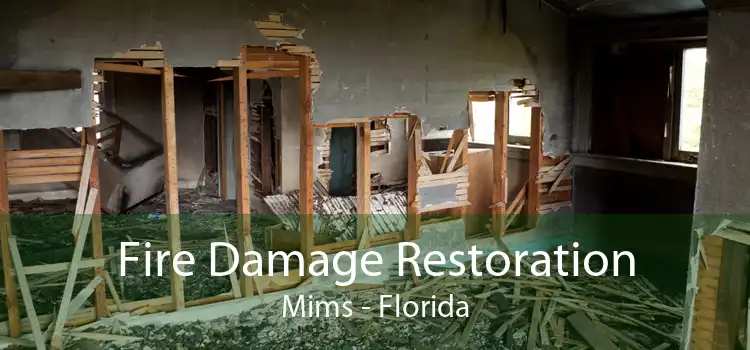 Fire Damage Restoration Mims - Florida