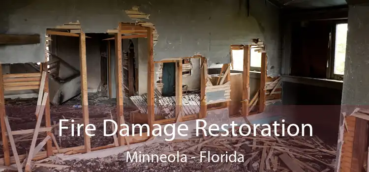 Fire Damage Restoration Minneola - Florida