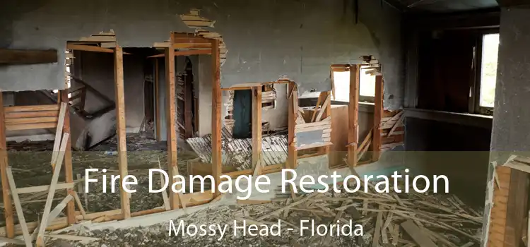 Fire Damage Restoration Mossy Head - Florida