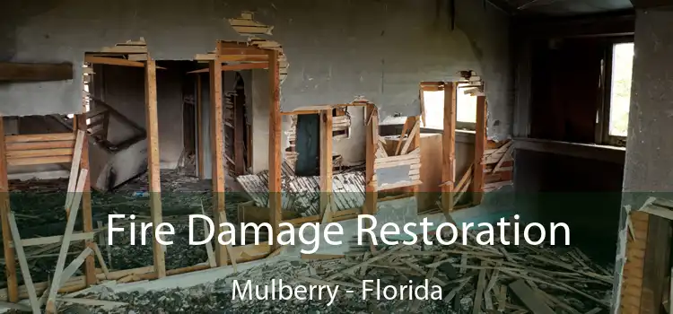 Fire Damage Restoration Mulberry - Florida