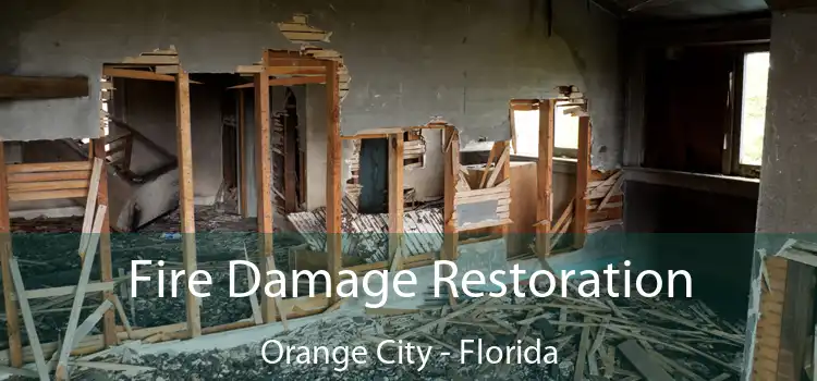 Fire Damage Restoration Orange City - Florida