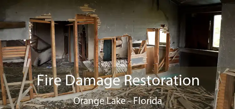 Fire Damage Restoration Orange Lake - Florida