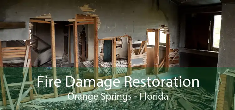 Fire Damage Restoration Orange Springs - Florida