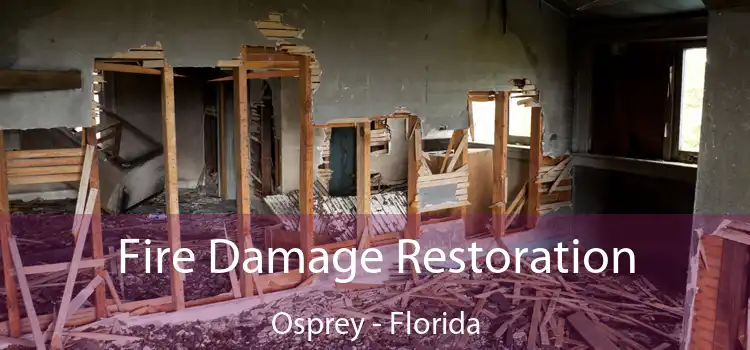 Fire Damage Restoration Osprey - Florida