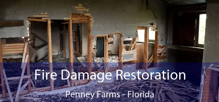 Fire Damage Restoration Penney Farms - Florida