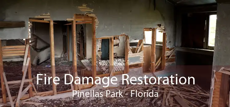Fire Damage Restoration Pinellas Park - Florida