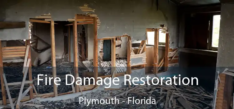 Fire Damage Restoration Plymouth - Florida