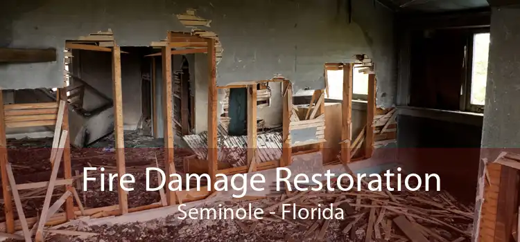 Fire Damage Restoration Seminole - Florida
