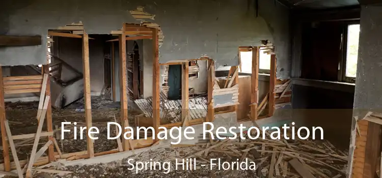 Fire Damage Restoration Spring Hill - Florida