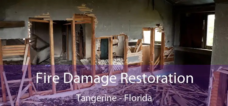 Fire Damage Restoration Tangerine - Florida