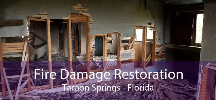 Fire Damage Restoration Tarpon Springs - Florida
