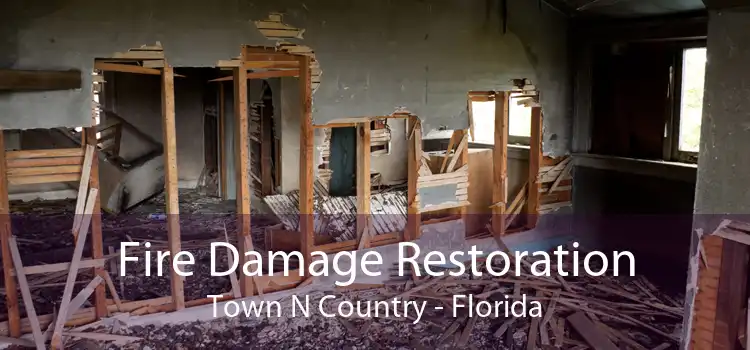 Fire Damage Restoration Town N Country - Florida