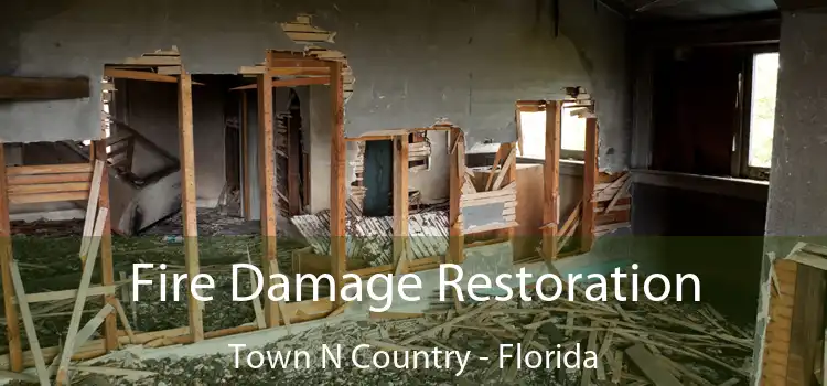 Fire Damage Restoration Town N Country - Florida