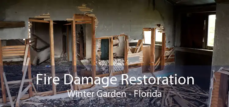 Fire Damage Restoration Winter Garden - Florida