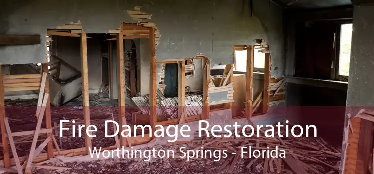 Fire Damage Restoration Worthington Springs - Florida