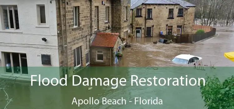 Flood Damage Restoration Apollo Beach - Florida