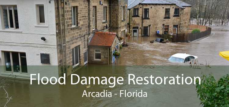Flood Damage Restoration Arcadia - Florida