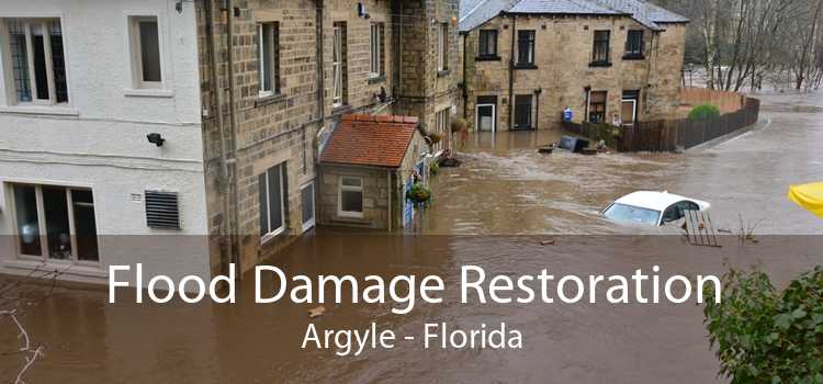 Flood Damage Restoration Argyle - Florida