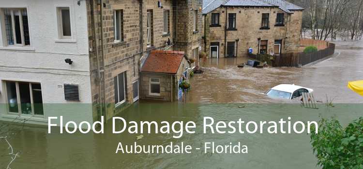 Flood Damage Restoration Auburndale - Florida