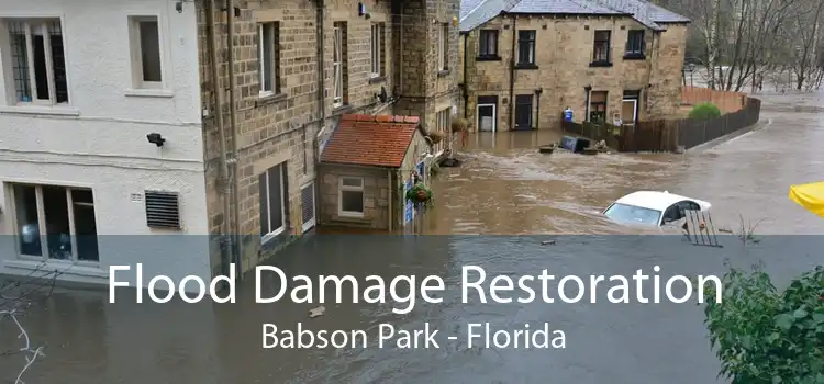 Flood Damage Restoration Babson Park - Florida