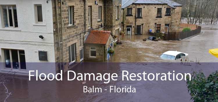 Flood Damage Restoration Balm - Florida