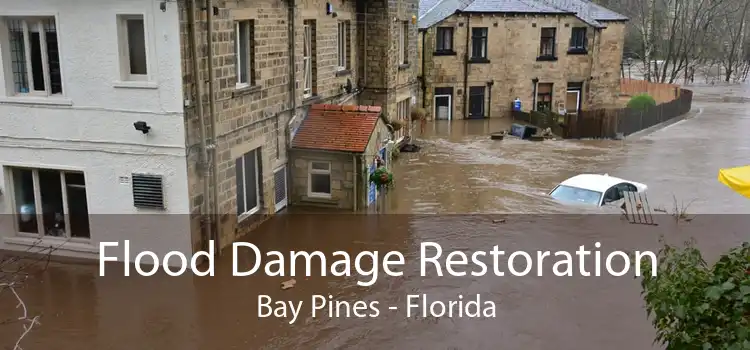 Flood Damage Restoration Bay Pines - Florida