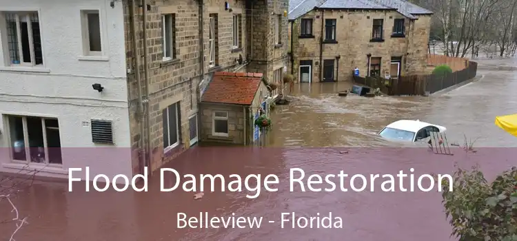 Flood Damage Restoration Belleview - Florida