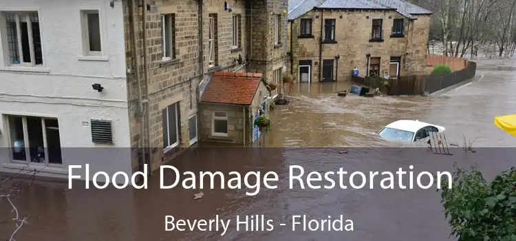 Flood Damage Restoration Beverly Hills - Florida