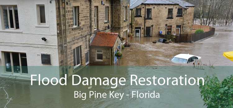Flood Damage Restoration Big Pine Key - Florida