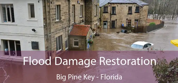 Flood Damage Restoration Big Pine Key - Florida