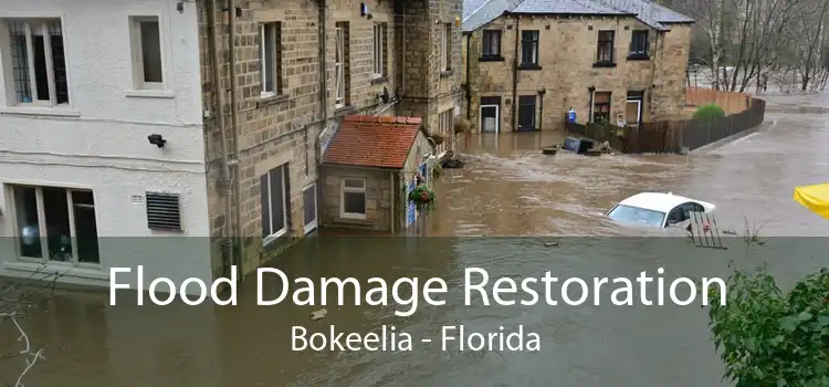 Flood Damage Restoration Bokeelia - Florida