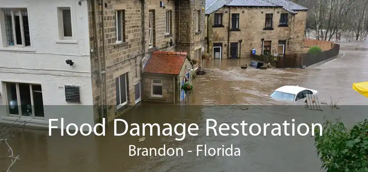 Flood Damage Restoration Brandon - Florida