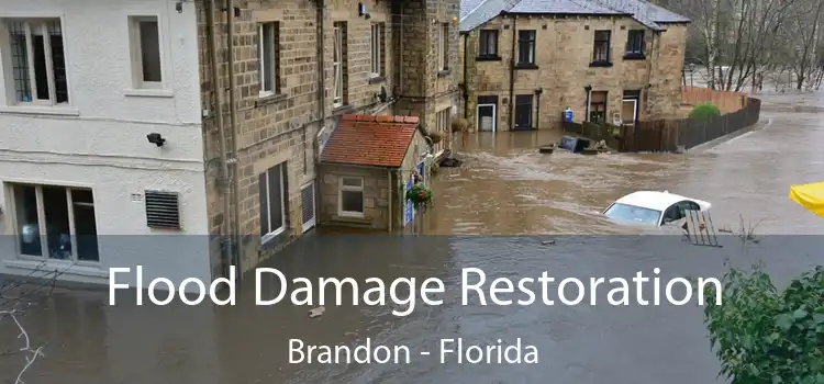 Flood Damage Restoration Brandon - Florida