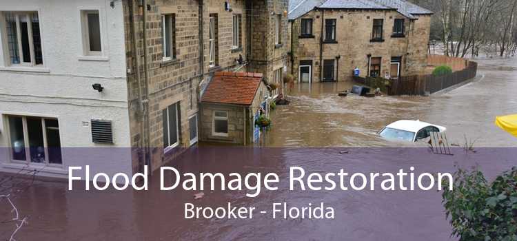 Flood Damage Restoration Brooker - Florida