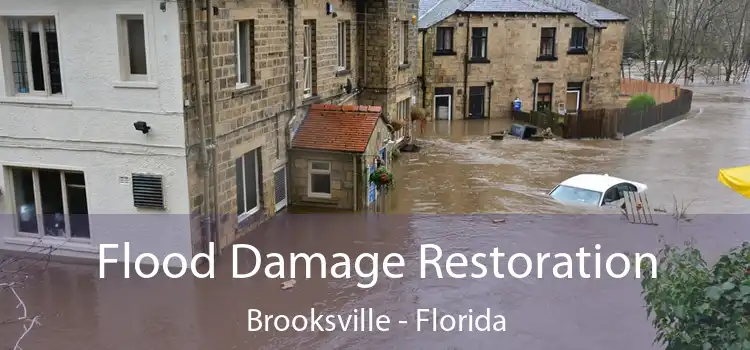 Flood Damage Restoration Brooksville - Florida