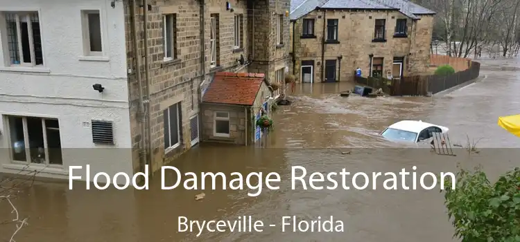 Flood Damage Restoration Bryceville - Florida