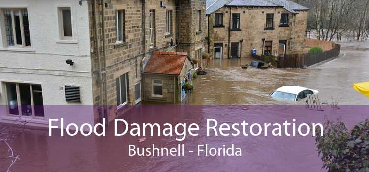 Flood Damage Restoration Bushnell - Florida