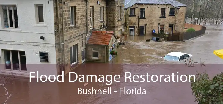 Flood Damage Restoration Bushnell - Florida
