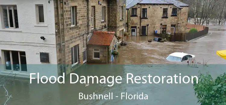 Flood Damage Restoration Bushnell - Florida