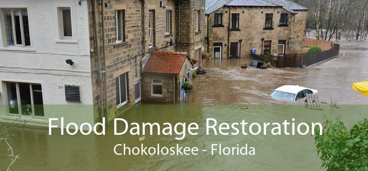 Flood Damage Restoration Chokoloskee - Florida