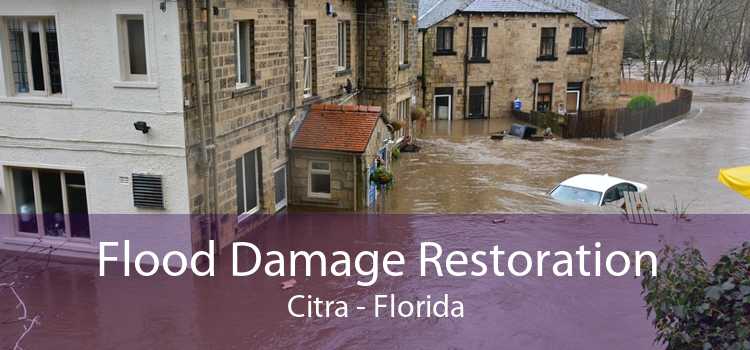 Flood Damage Restoration Citra - Florida