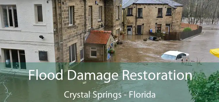 Flood Damage Restoration Crystal Springs - Florida