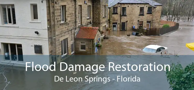 Flood Damage Restoration De Leon Springs - Florida