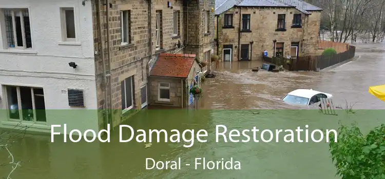 Flood Damage Restoration Doral - Florida